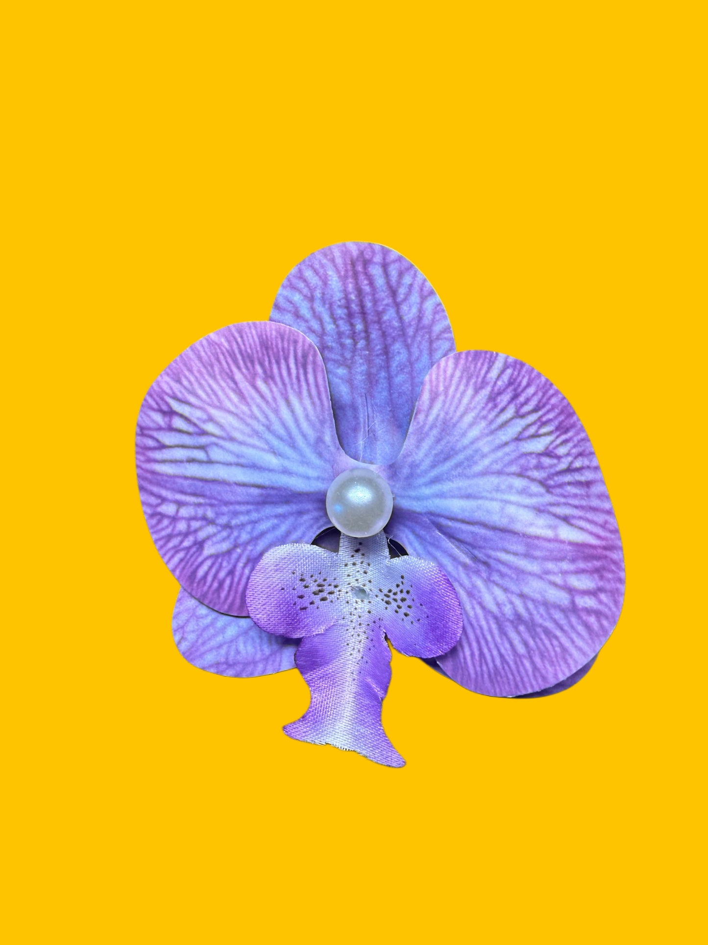 🎨 Color Pop orchid Hair Clips