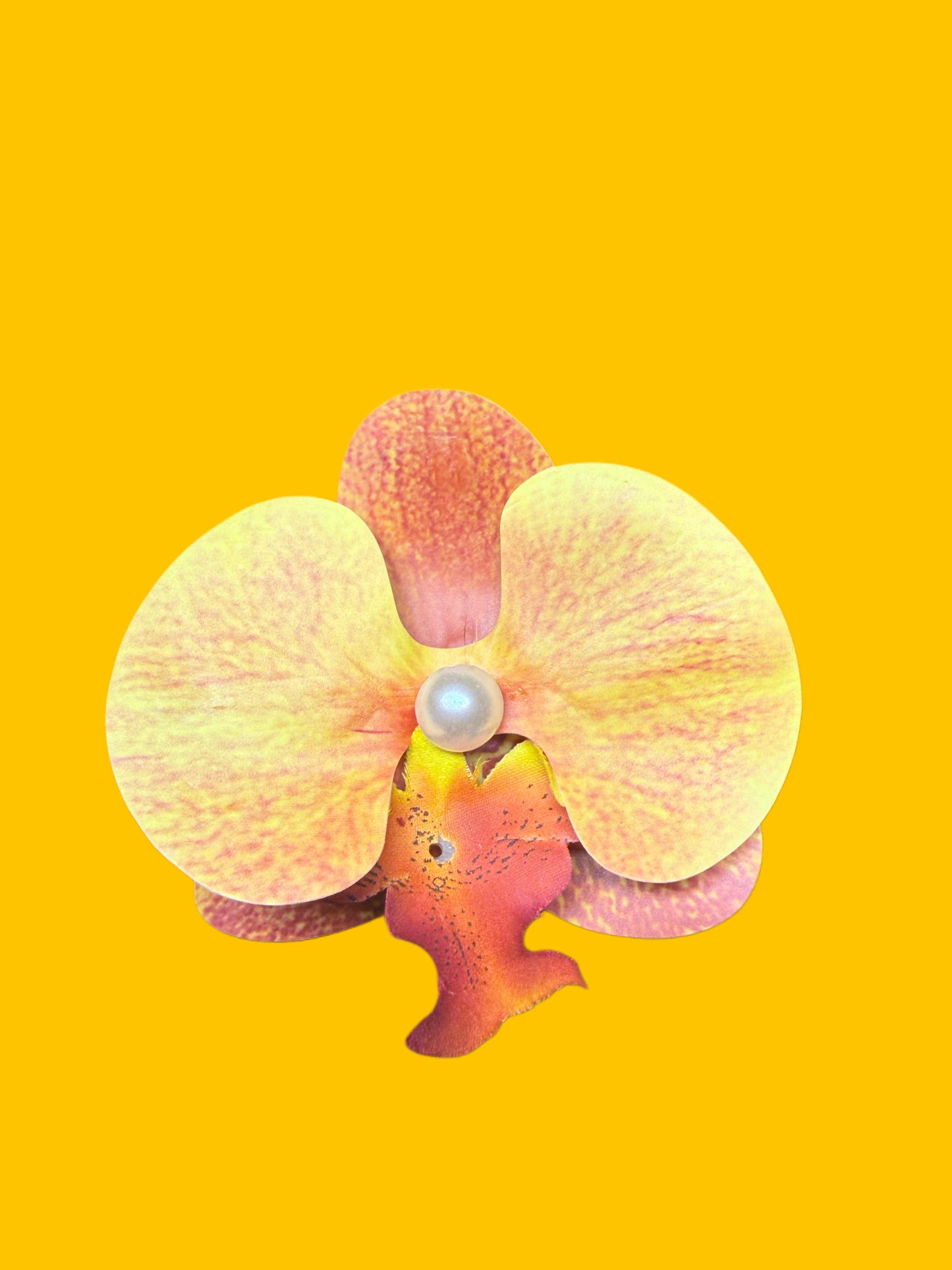 🎨 Color Pop orchid Hair Clips