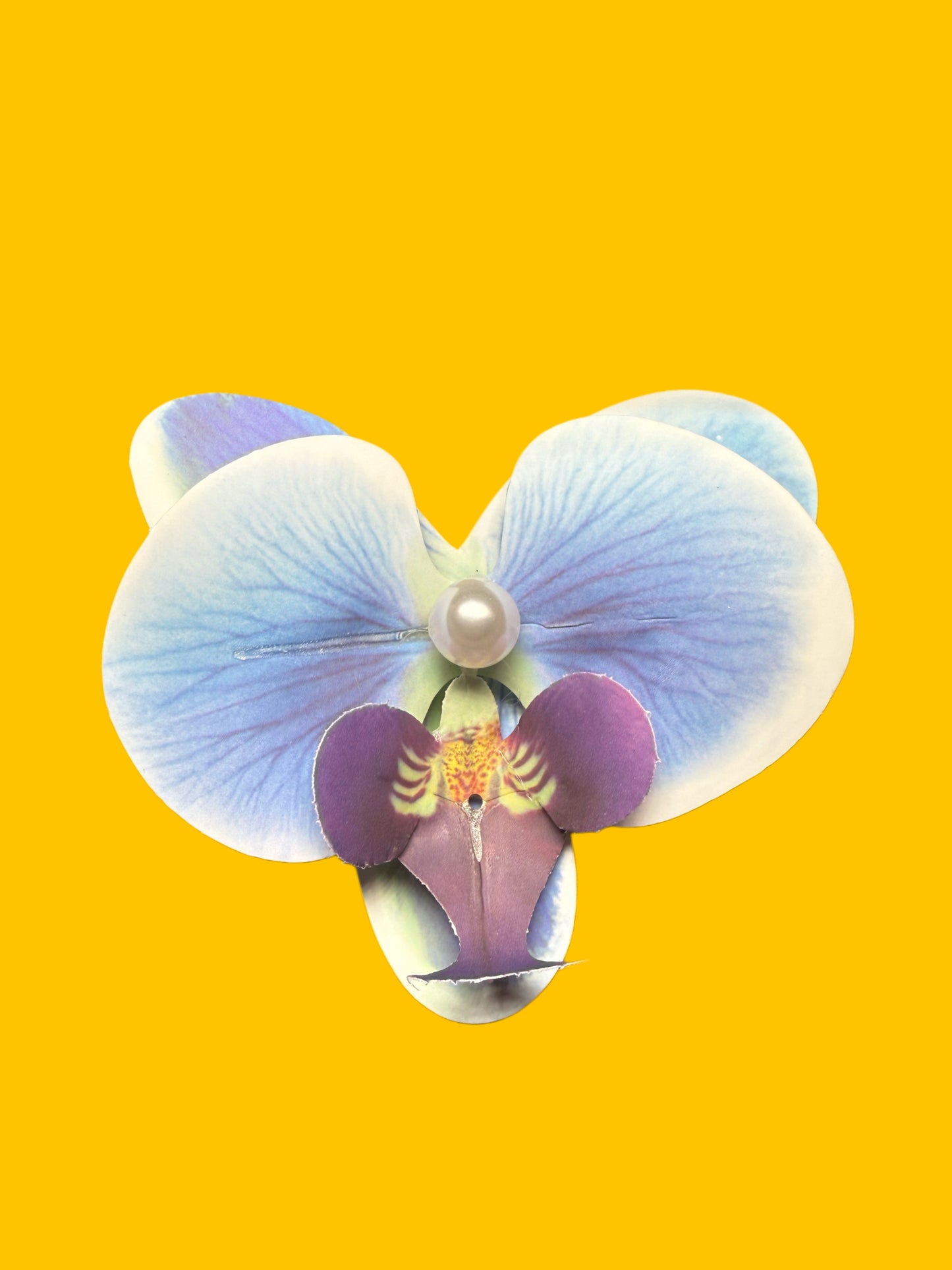 🎨 Color Pop orchid Hair Clips